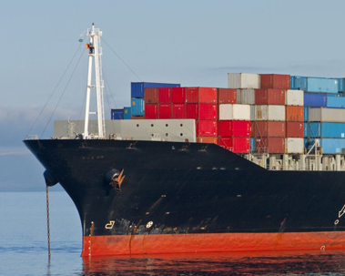 Cargo Insurance Coverage & Shipment / Freight Services